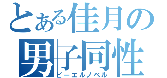 とある佳月の男子同性愛小説（ビーエルノベル）