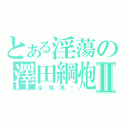 とある淫蕩の澤田綱炮Ⅱ（淫賤萬歲）