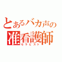 とあるバカ声の准看護師（セラピスト）