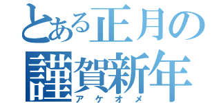 とある正月の謹賀新年（アケオメ）