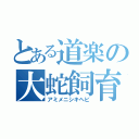 とある道楽の大蛇飼育（アミメニシキヘビ）