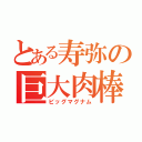 とある寿弥の巨大肉棒（ビッグマグナム）