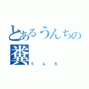 とあるうんちの糞（うんち）