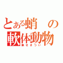 とある蛸の軟体動物（無せきつい）