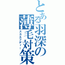 とある羽深の薄毛対策（スカルプディー）