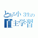 とある小３生の自主学習（）