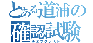 とある道浦の確認試験（チェックテスト）