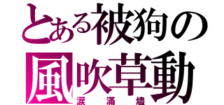 とある被狗の風吹草動（涙滿燼）