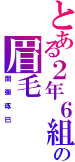 とある２年６組の眉毛（関彌琢巳）