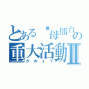 とある嘎母擂台の重大活動Ⅱ（がめぇて）