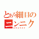 とある細目のニンニク鼻（エギユウスケ）