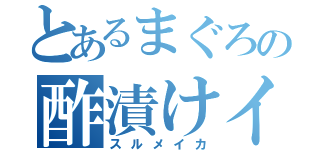 とあるまぐろの酢漬けイカ（スルメイカ）