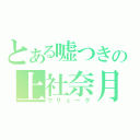 とある嘘つきの上社奈月（ウリューゲ）