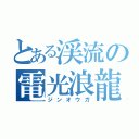 とある渓流の電光浪龍（ジンオウガ）