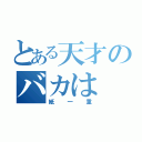 とある天才のバカは（紙一重）