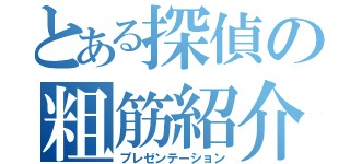 とある探偵の粗筋紹介（プレゼンテーション）