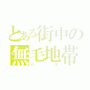 とある街中の無毛地帯（ハゲ）