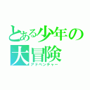 とある少年の大冒険（アドベンチャー）