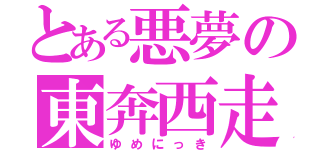 とある悪夢の東奔西走（ゆめにっき）