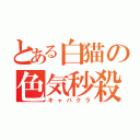 とある白猫の色気秒殺（キャバクラ）