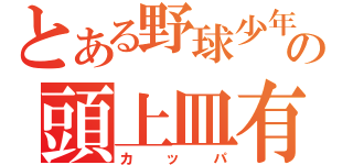 とある野球少年の頭上皿有（カ  ッ  パ）