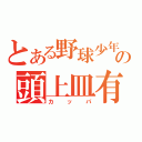 とある野球少年の頭上皿有（カ  ッ  パ）