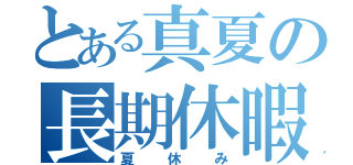 とある真夏の長期休暇（夏休み）