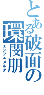 とある破面の環閔朋（エンフェメルダ）