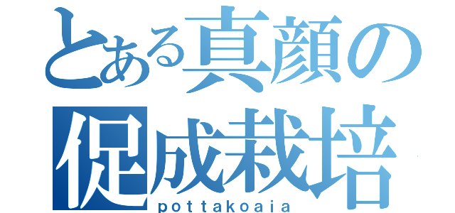 とある真顔の促成栽培（ｐｏｔｔａｋｏａｉａ）