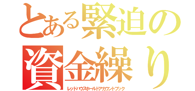 とある緊迫の資金繰り（レッドハウスホールドアカウントブック）