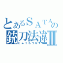 とあるＳＡＴＡＮの銃刀法違反Ⅱ（じゅうもつな）