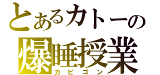 とあるカトーの爆睡授業（カビゴン）