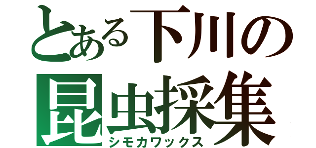 とある下川の昆虫採集（シモカワックス）