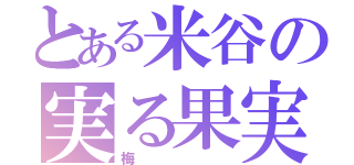 とある米谷の実る果実（梅）