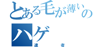 とある毛が薄いのハゲ（達者）