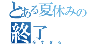 とある夏休みの終了（辛すぎる）