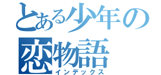 とある少年の恋物語（インデックス）