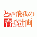 とある飛我の育毛計画（マープナチュラ）