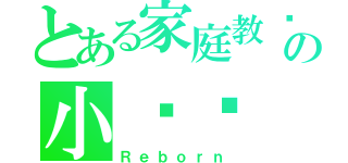 とある家庭教师の小说馆（Ｒｅｂｏｒｎ）