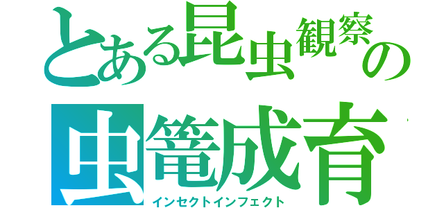 とある昆虫観察の虫篭成育（インセクトインフェクト）