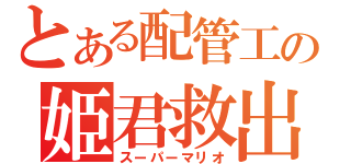 とある配管工の姫君救出記（スーパーマリオ）