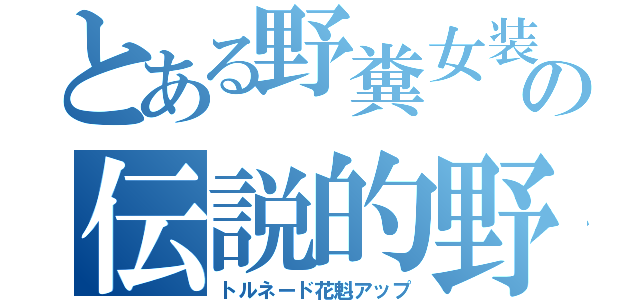 とある野糞女装の伝説的野糞（トルネード花魁アップ）