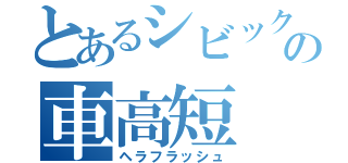 とあるシビックの車高短（ヘラフラッシュ）