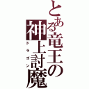 とある竜王の神上討魔（ドラゴン）