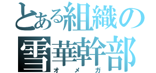 とある組織の雪華幹部（オメガ）