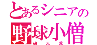 とあるシニアの野球小僧（破天荒）