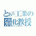 とある工業の猫化教授（にゃーって言うな！）