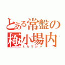 とある常盤の極小場内（ミカワシマ）