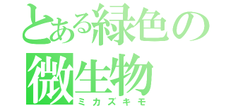 とある緑色の微生物（ミカズキモ）