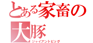 とある家畜の大豚（ジャイアントピッグ）